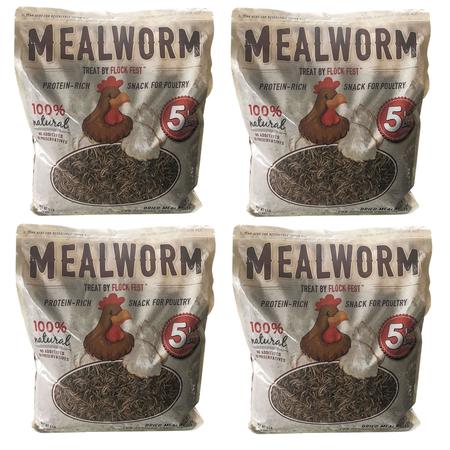 FLOCK FEST Dried Mealworms for Chickens, Ducks, and Small Pets, 5 Lb, PK4 DMW54PC